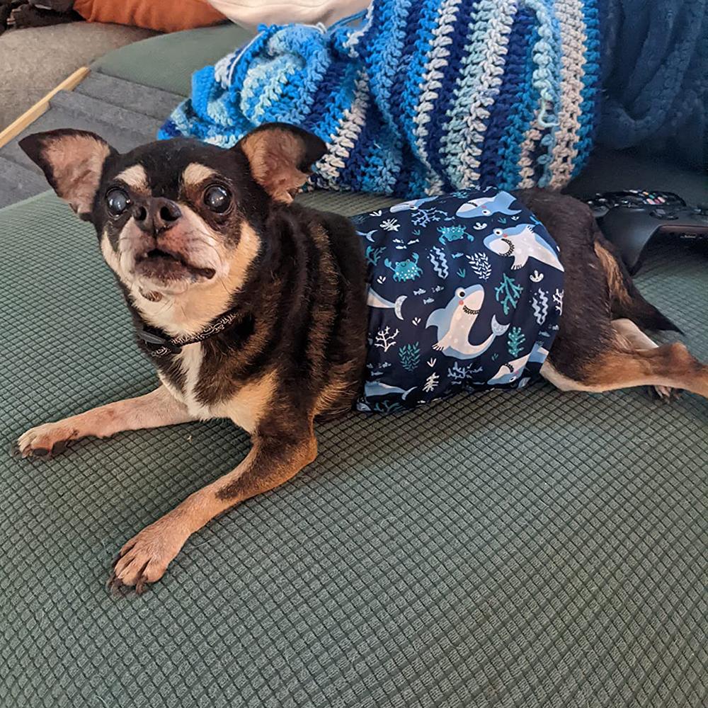 Reusable Male Dog Diaper for Small Medium Dogs High Absorption Pet Abdominal Belt Washable Puppy Chihuahua Pug mascotas Panties