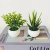 Simulation Potted Plant Artificial Perfect Plastic Display Mold Bonsai for Home Decor