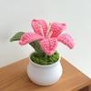 Flowers Hand-Knitted Lily Potted Delicate Crochet Woven Flowers Pot Gift Room Home Decoration
