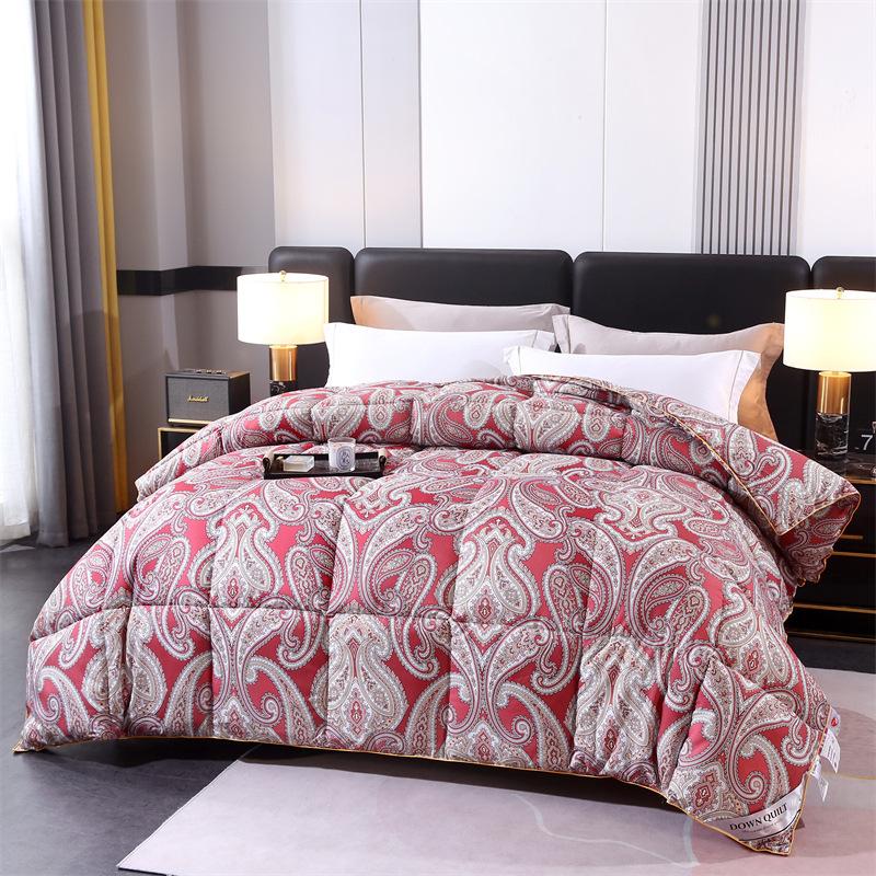 Lightweight Comfortable Down Duvets White Goose Velvet Winter Quilts Core Double Family Single Dormitory Warm Down Comforter
