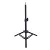 Interaction Training Perch,   Height Multifunctional Bird Training Perch Stand for Outdoor