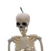 Decoration Skeleton People Active Model Car Decoration Anatomy Skeleton Human Skeleton Model