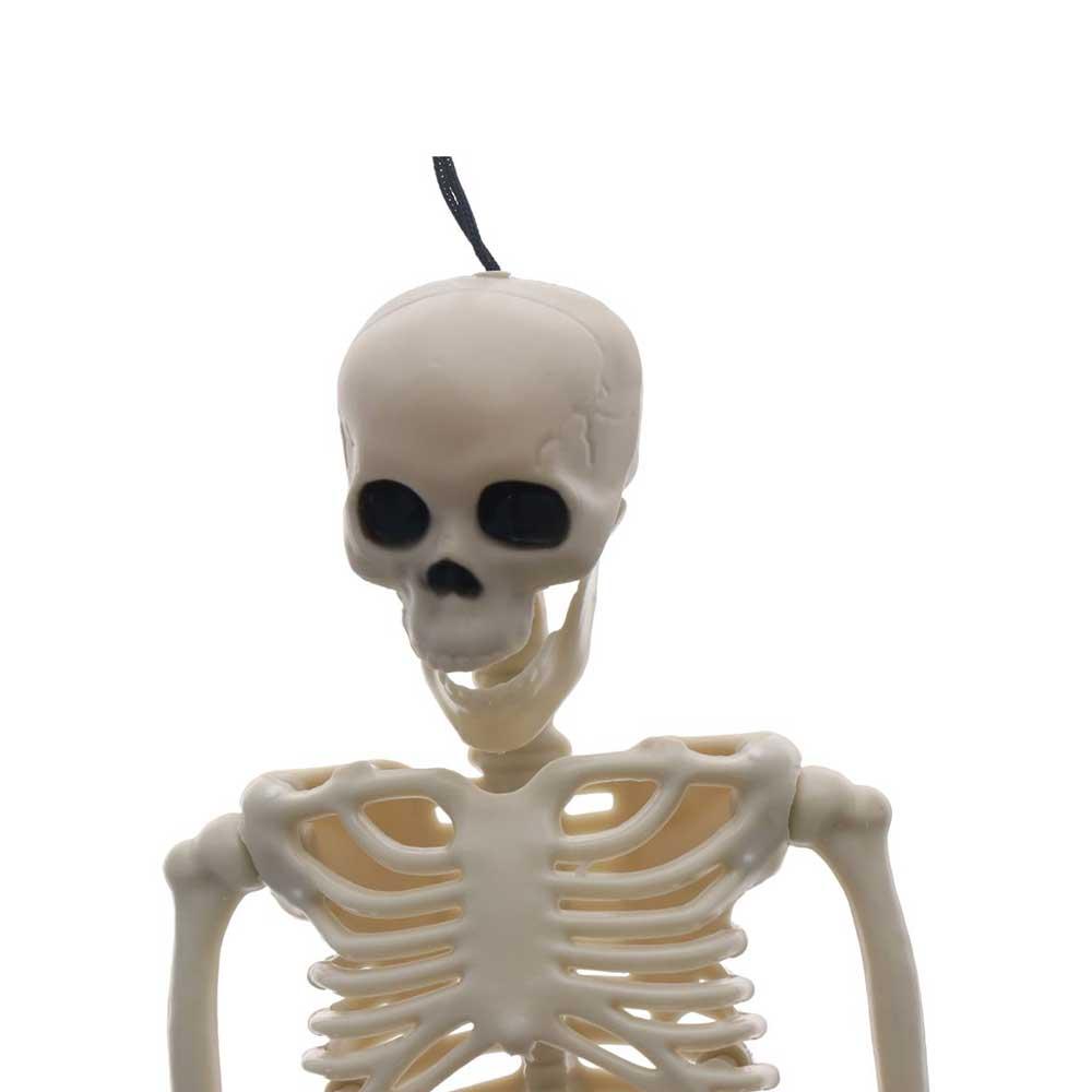 Skeleton Learn Aid Anatomy Skeleton Car Decoration People Active Model Human Skeleton Model