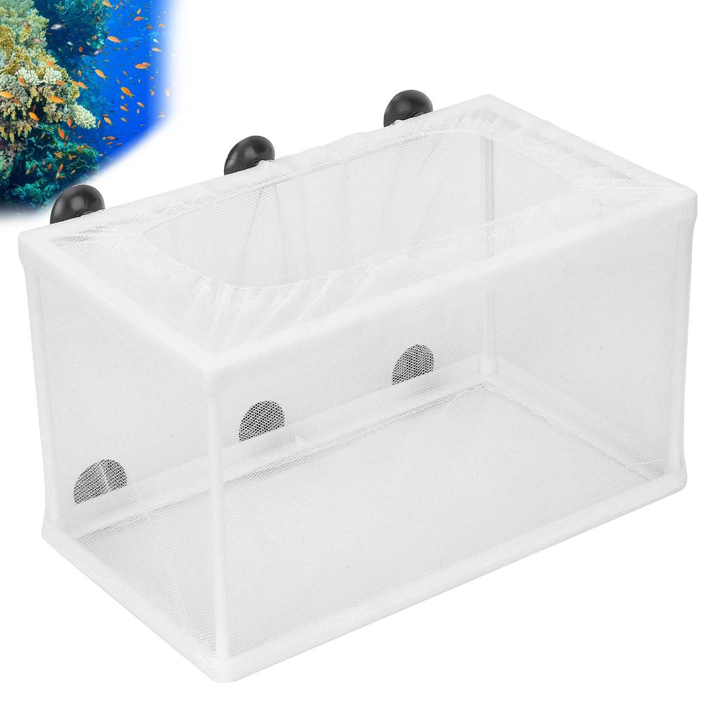 Aquarium Fisch Zucht Box Isolation Box Züchter Brüterei Inkubator mit SaugnapfL