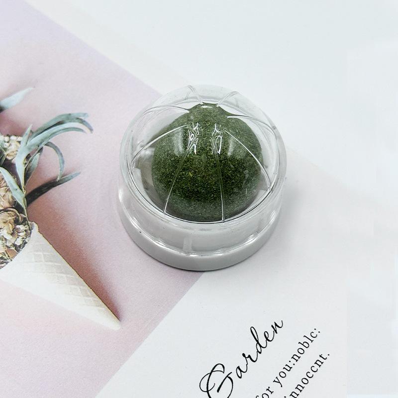 Catnip Matatabi Teasing Ball and Chew Stick for Kitten Play