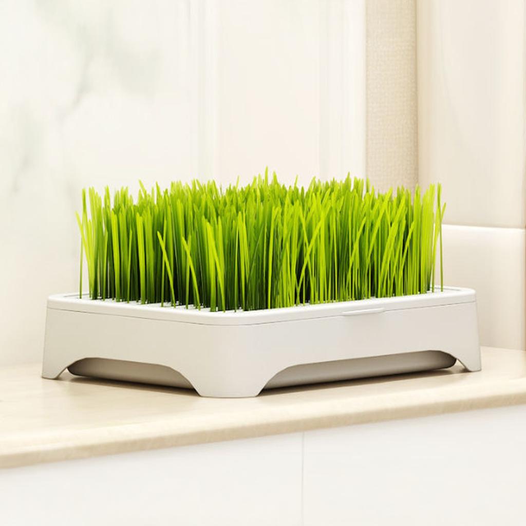 Cat Grass Growing Kit with Soil-Free Hydroponic Planter Box Nursery Box for Indoor Cats Wheatgrass Planter Set