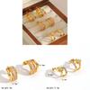 Light Luxury Geometric Stainless Steel Earrings With Zirconia For Women