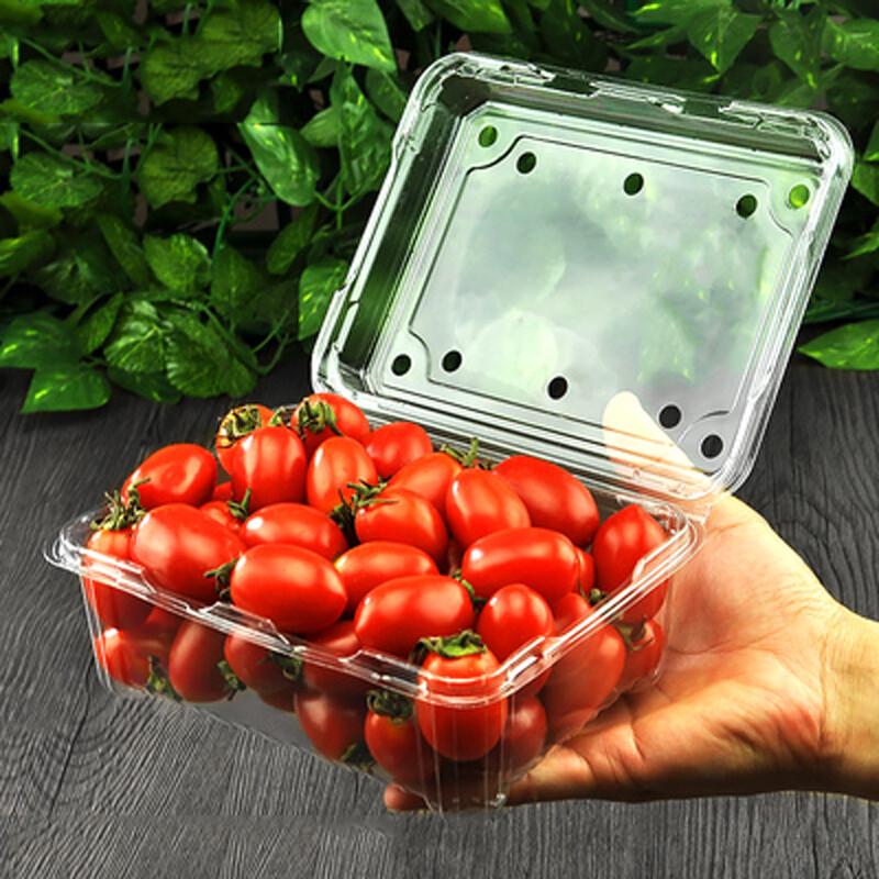 Homeglen Transparent Plastic Fruit Containers