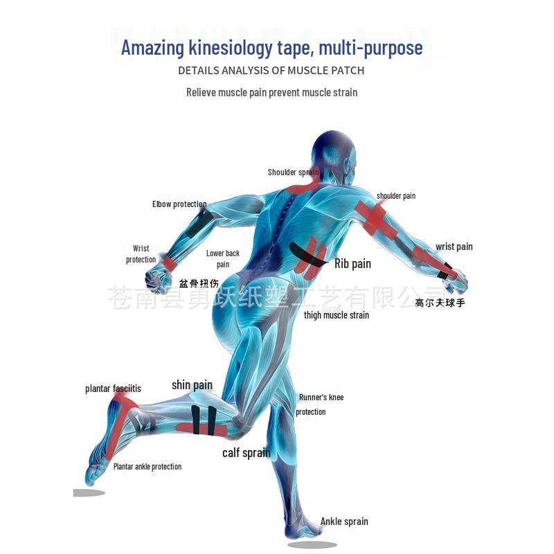 Kinesiology Sports Tape & Elastic Bandage with Nipple Covers for Physiotherapy & Rehabilitation