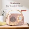 Yidian Retro Portable Bluetooth Speaker with Handle CN plug (adapter included)