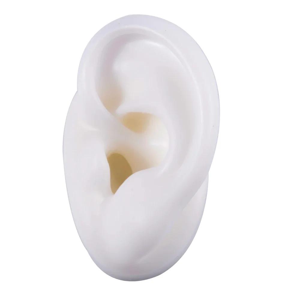 Acrylic Earring Display Stand with Soft Silicone Ear Model Jewelry Display and Storage
