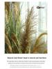 Natural Reed Faux Flowers & Potted Greenery for Home Decor