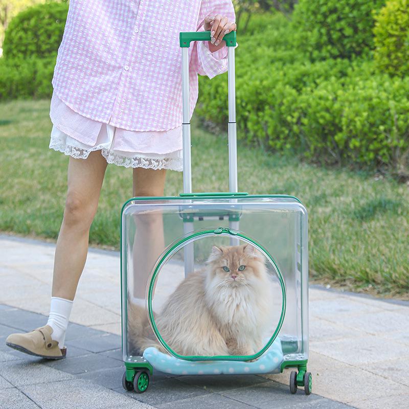 Portable Transparent Pet Travel Suitcase: Breathable, Extra Large for Cats & Dogs