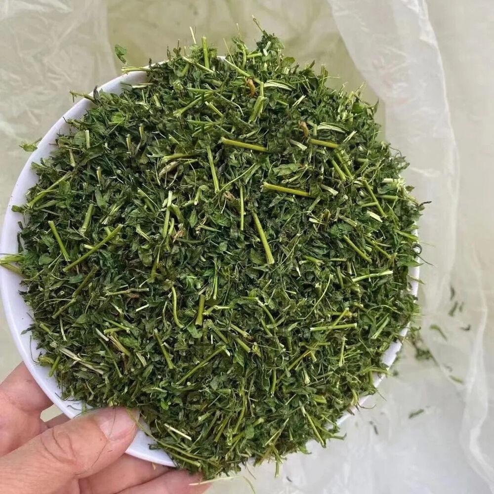 240g Chaoshan You Gan Tea Digest Food and Strengthen The Spleen, Generate Body Fluid and Quench Thirst