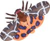 ZHONGXIN MADE Garden Tiger Moth Plush Toy, Realistic 11-inch Large Winged Moth Stuffed Animal, Soft and Unique Gift, Collectible, Decorative Gift for