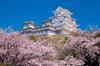 YANOMAN In Jigsaw Japanese Thousand Cherry Blossoms and Himeji Castle Includes a Piece Request a a Service and a Jigsaw Puzzle Instruction (Yanoman)