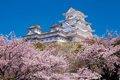 YANOMAN In Jigsaw Japanese Thousand Cherry Blossoms and Himeji Castle Includes a Piece Request a a Service and a Jigsaw Puzzle Instruction (Yanoman)