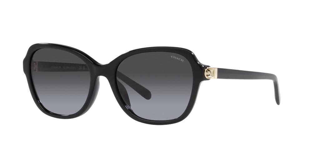 Sunglasses HC8349U CD481 50028G BLACK 56 [Coach] Women's