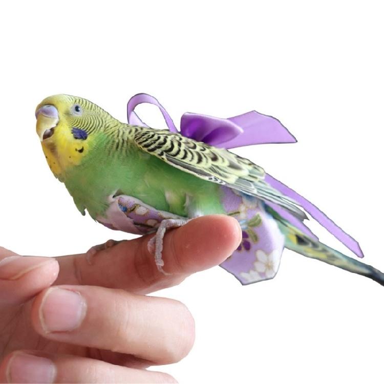 Parrot Diaper with Bowknot Pineapple Theme Washable Bird Garment Nappy