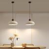 Nordic Minimalist Iron Pendant Light for Home, Dining, and Bar