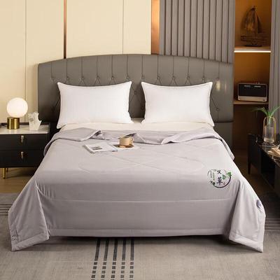 Jieliya Cooling Wormwood Summer Quilt
