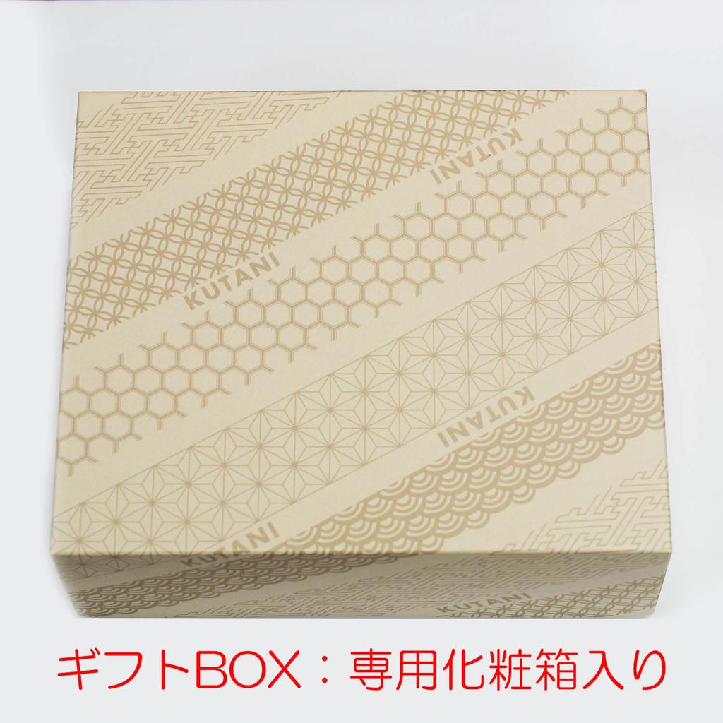 Waza no Kura Plate Set Stylish Kutani Ware Medium Plates of Period Painting Design Ceramic Japanese Tableware Serving Plates Made in Japan Perfect for