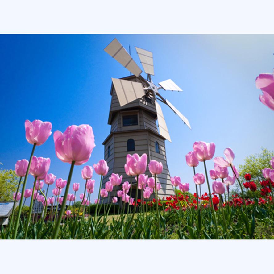 Buy 5d Diy Diamond Mosaic Painting Tulip Flower Windmill Cross Stitch ...