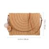 Beach Bags Straw Clutch Straw Shoulder Bag Women's'S Light Brown