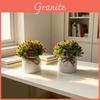 Full Sky Star Artificial Flower Pot For Home Decor And Photography Prop