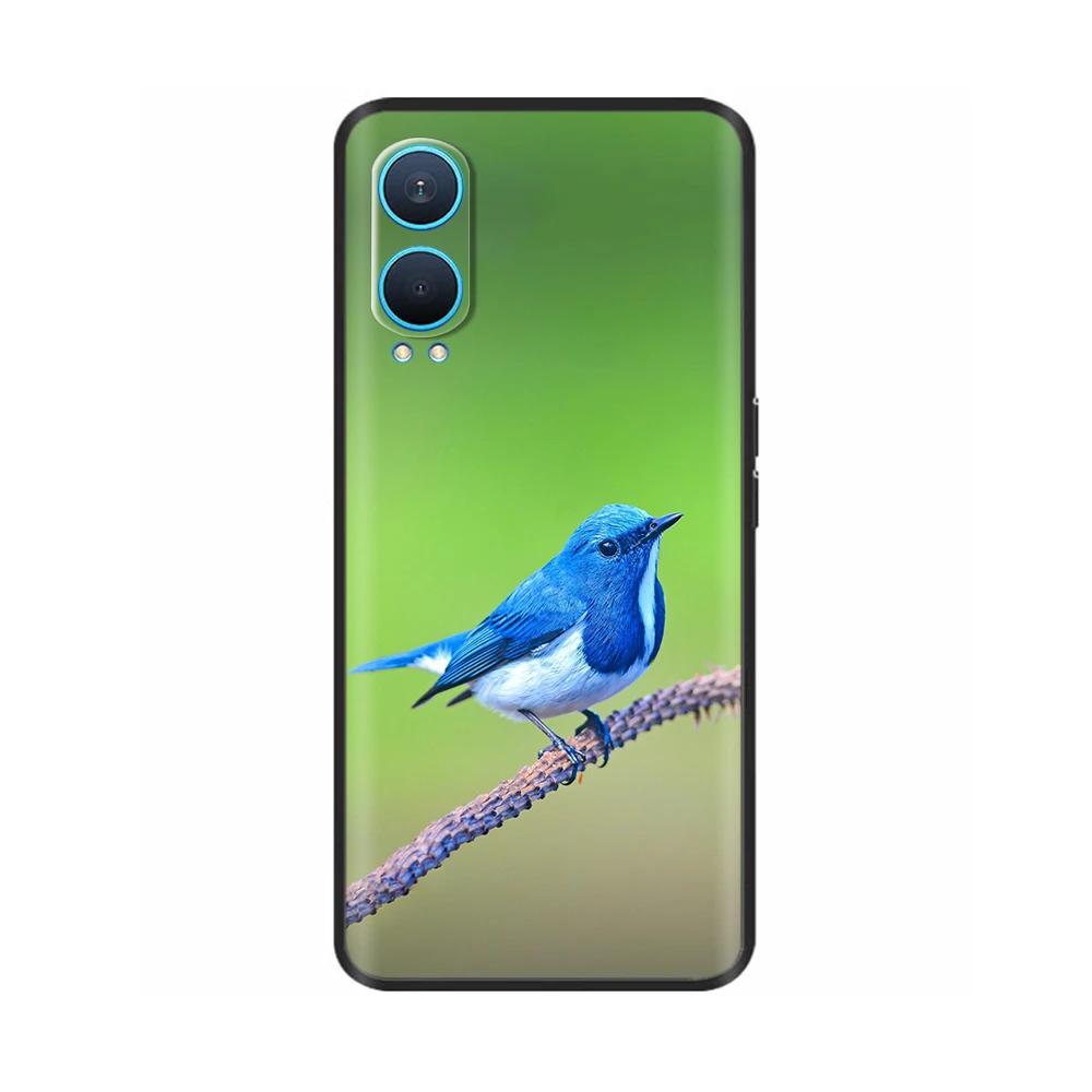 Für OnePlus Nord CE 4 Hülle Nord CE4 Lite Fundas Coole Weiche Silikon TPU Stoßstange Für One Plus Nord CE 4 Lite Handyhüllen Rückseite