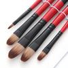 5 Pcs Nylon Hair Painting Brush Set Professional Painting Kits Round Pointed Tip Paintbrushes with Synthetic Nylon Tips