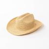 Chapeau de cowboy en crochet de raffia pliable pour hommes et femmes, chapeau de soleil en paille, style tendance, printemps et été européen et américain, tissé à la main