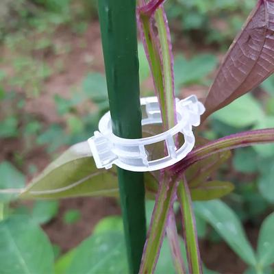 500/50PCS Plastic Plant Support Clips Reusable Connects Plants Vine Protection Grafting Fixing Tools for Vegetable Tomato Garden