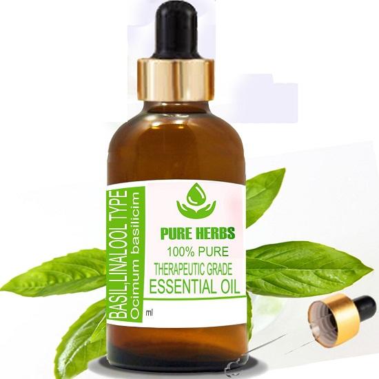 Pure Herbs basil linalool (Ocimum basilicum ct. linalool) Pure & Natural Therapeutic Grade Essential Oil Glass