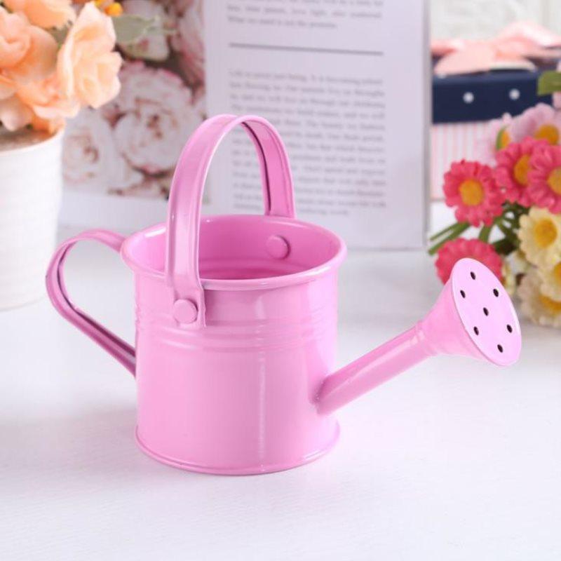 1Pc Mini Sprinkler Home Garden Indoor Vintage Flower Metal Watering Iron Pott