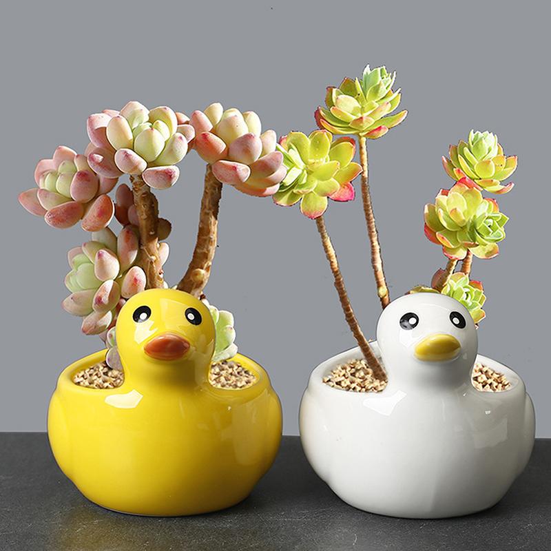 Cute Duck Flower Pot Succulent Pot Ceramics Planter Home Decor Desktop Ornaments Bonsai Plant Pot Garden Decoration