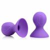 BDSM Nipple Suction Cups Clamps Suckers Erect Boob Clit Enlarger,Clitoris Pincher Clip Bondage,Sex Toys For Couples