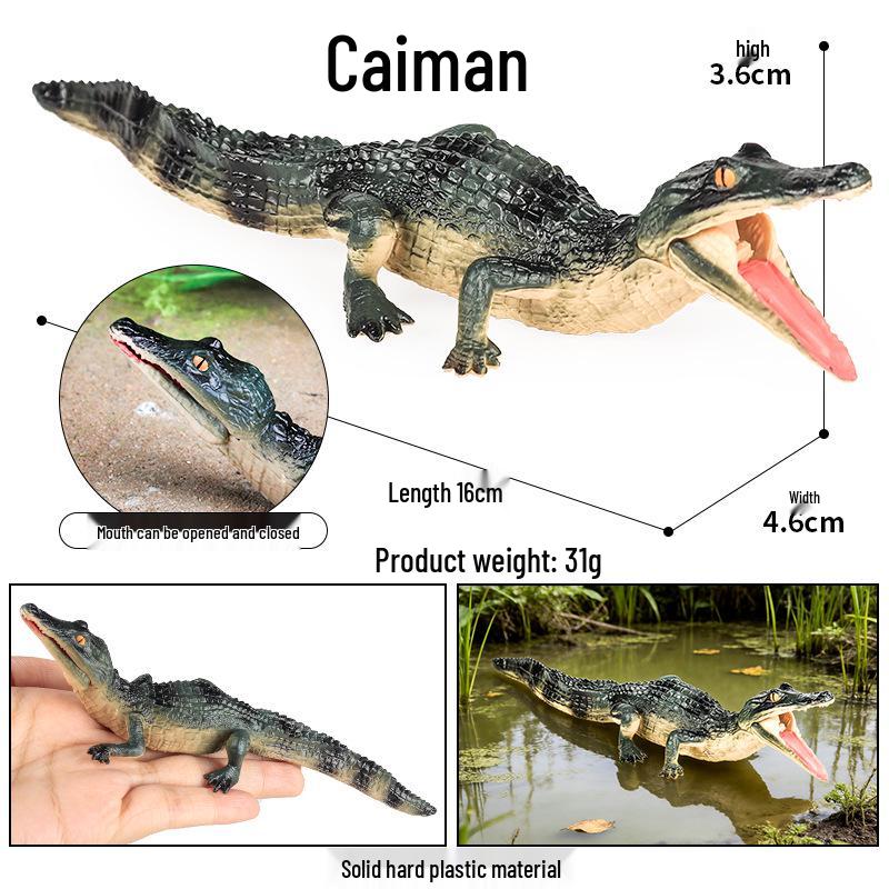 Children's Reptile Simulation Model Toy: Toads and Frogs for Cognitive Play and Gifts