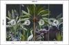 Photomural Animals Amidst Palm Trees And Plants Smooth Vinyl 368x254