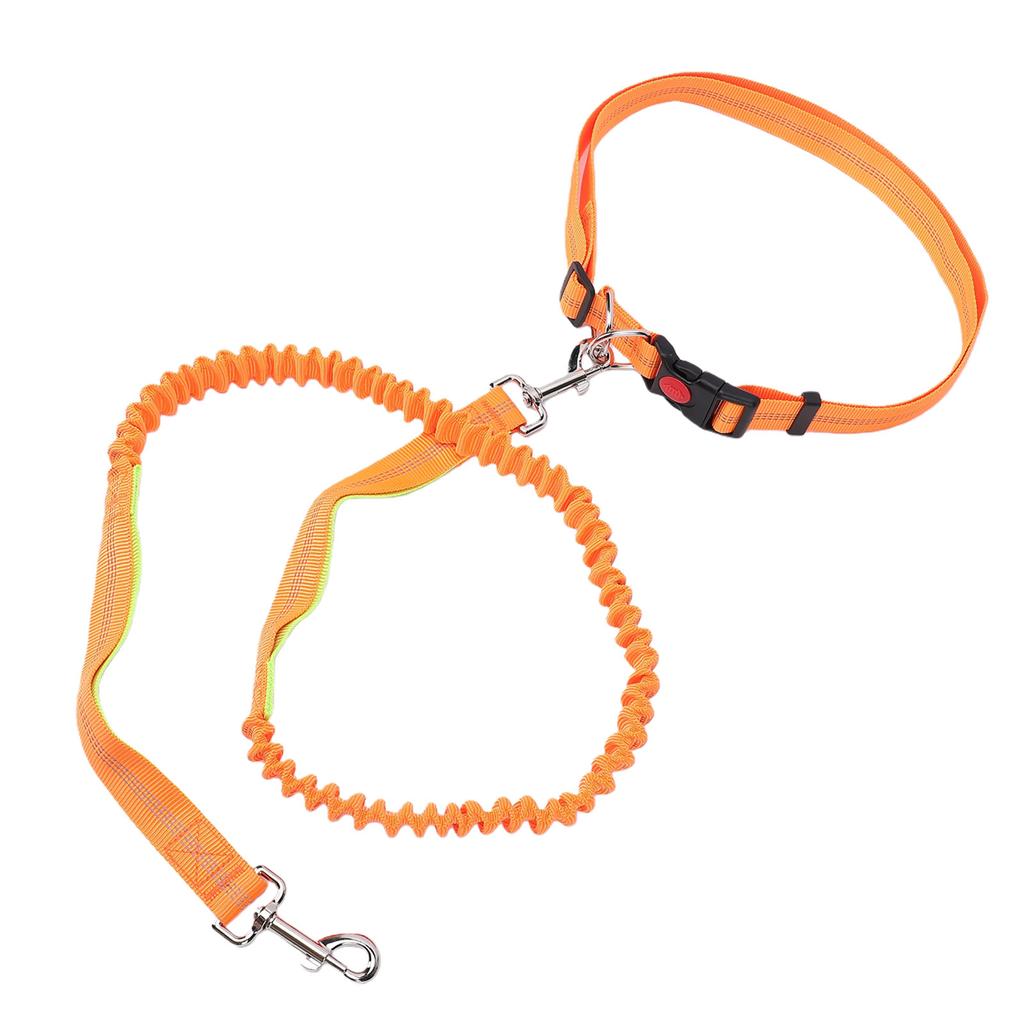 Dog Leash Multifunctional D   Reflective Strip Anti Pull Lock Buckle Nylon Dog Rope Leash for Walking