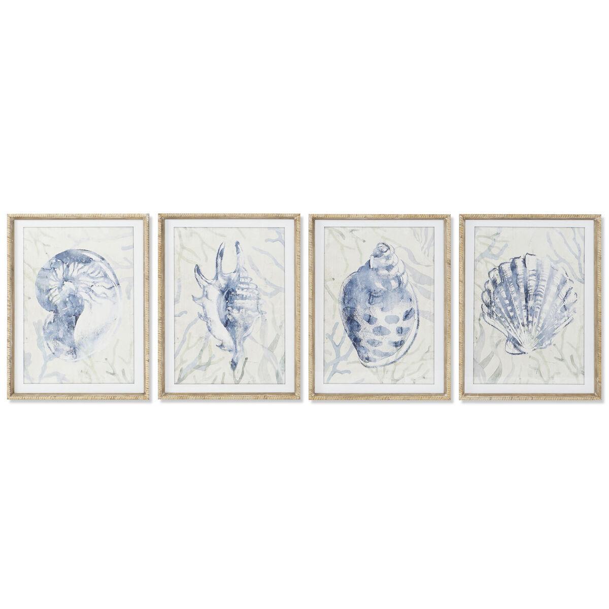 

Рамка для дома Mediterranean ESPRIT Conch 45 x 2,5 x 60 см (4 единицы)