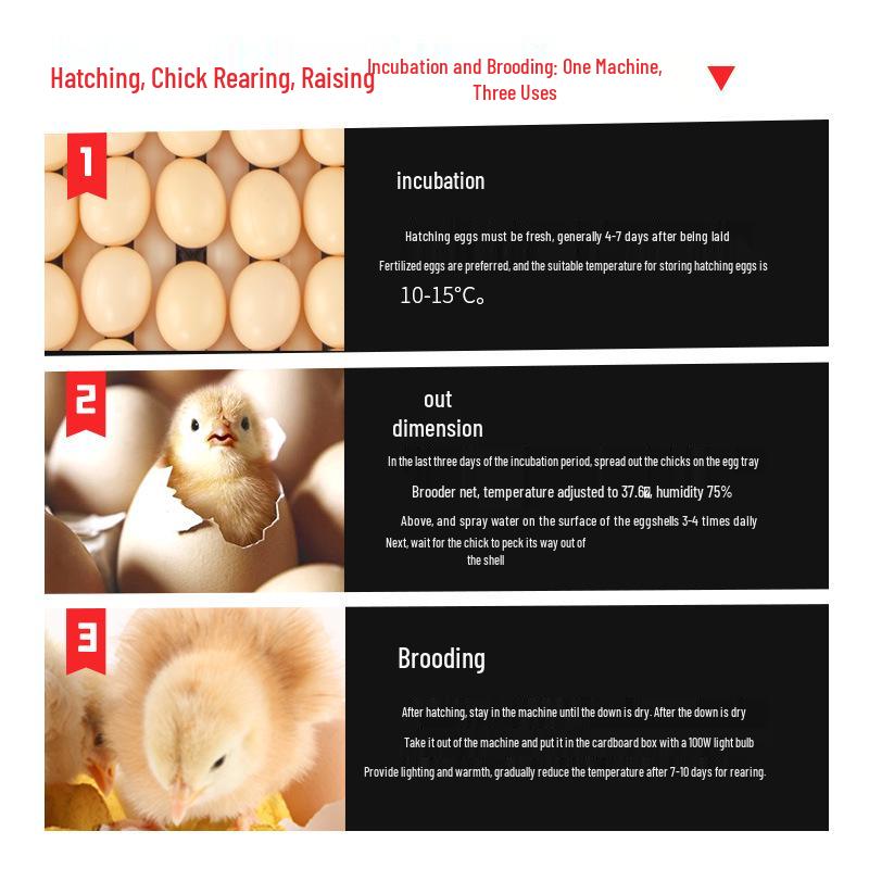 Smart Fully Automatic Egg Incubator for Chickens, Ducks, and Geese