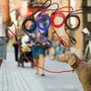 Heavy-duty Dog Leash Strong And Reliable Pet Leash Suitable For Small/medium/large Dogs