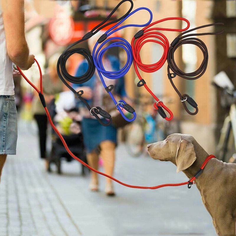 Heavy-duty Dog Leash Strong And Reliable Pet Leash Suitable For Small/medium/large Dogs