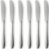 Nagao Dinner Knife Set of Stainless Made In Japan NT-5 6, Steel,