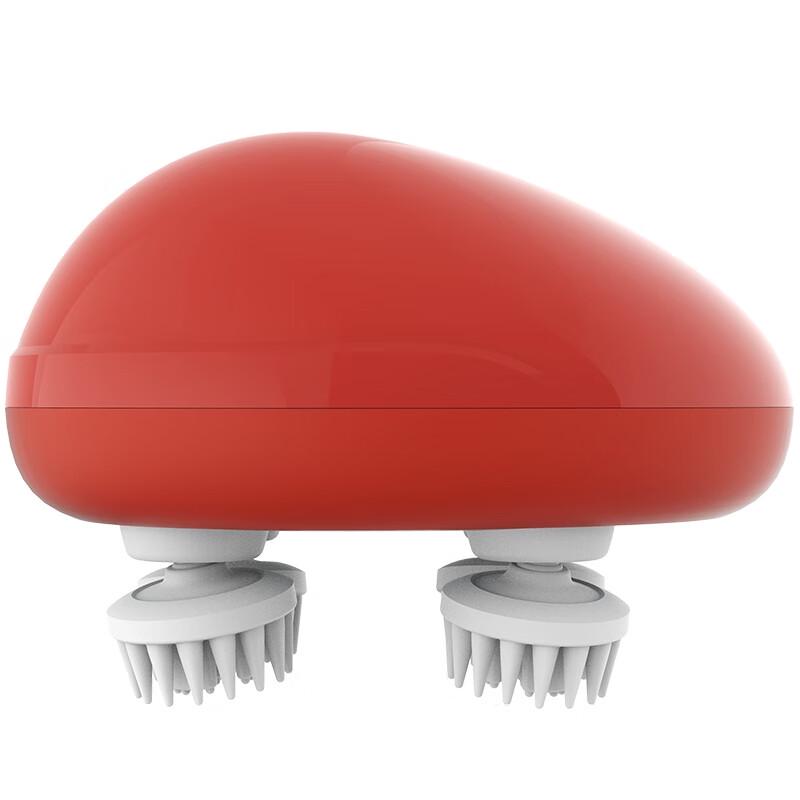 Haier Rechargeable Wet/Dry Scalp and Body Massager