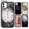 Krajews Anatomy Brain Soft Phone Case Cover For iPhone 18 17 Air 16 15 14 Plus 11 12 13 Pro Max Coque Shell Fundas