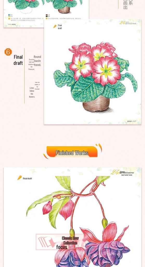 Guida per principianti alla pittura di fiori a matite colorate: Nessuna esperienza richiesta