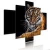 Minimalist Animals Poster Lion Leopard Orangutan And Elephant Canvas Painting 5 Pieces Modular Picture Print Wall Art Home Decor
