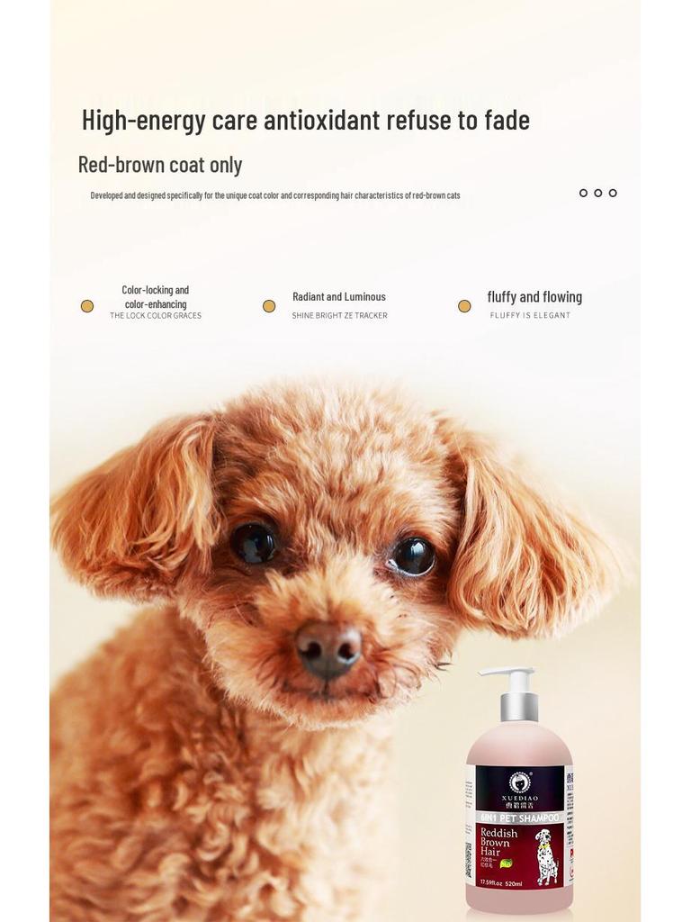 Ferret & Cat Deodorizing Shampoo: Long-Lasting Fragrance Bath for Pets, Including Teddy & Golden Retriever